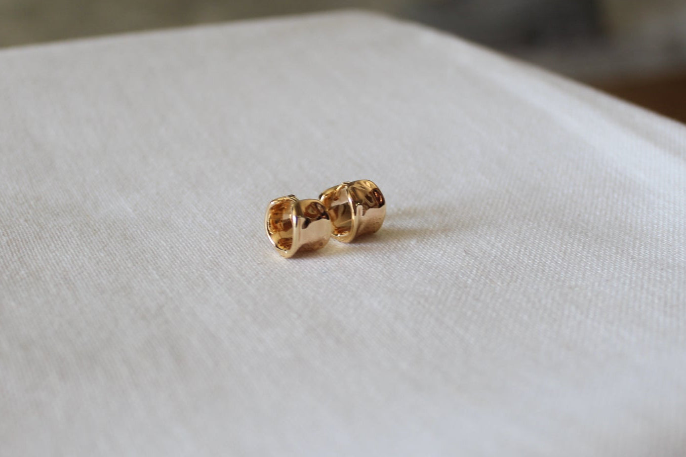 Everything Nice Huggie Earring