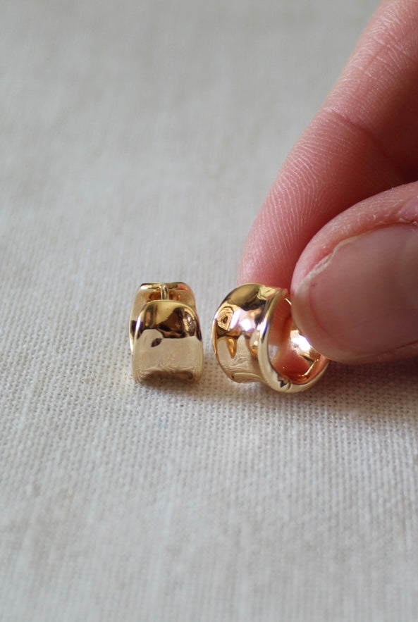 Everything Nice Huggie Earring