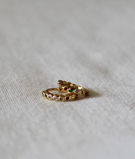 Showed You Colors Earrings