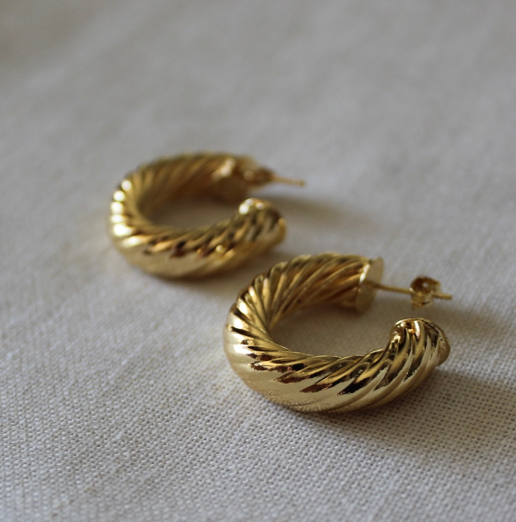 Chunky Rope Twist Earrings