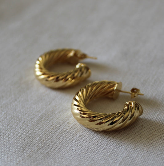 Chunky Rope Twist Earrings